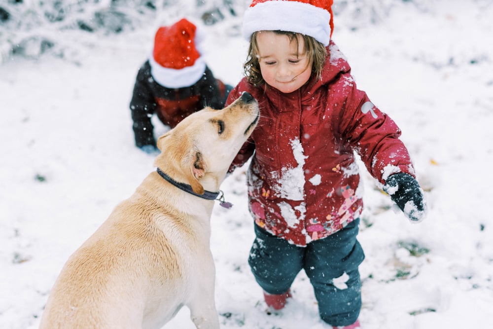 Best Tips To Shoot Outdoors In Winter